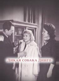 Дикая собака динго