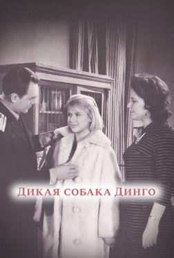Дикая собака динго