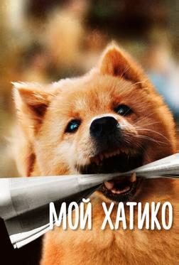 Мой Хатико
