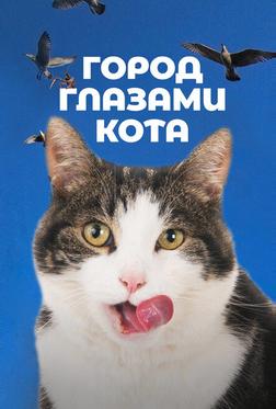 Город глазами кота