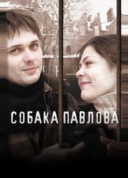 Собака Павлова