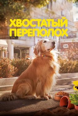 Хвостатый переполох Хвостатый переполох