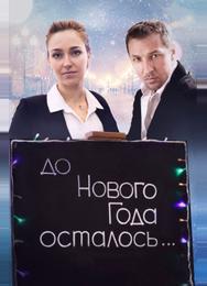 До Нового года осталось…