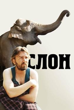 Слон Слон