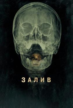Залив Залив