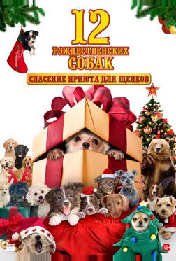 12 рождественских собак: Спасение приюта для щенков 12 рождественских собак: Спасение приюта для щенков