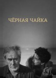 Черная чайка