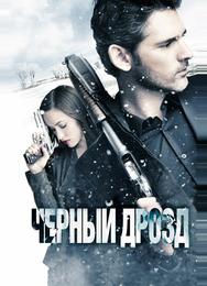 Черный дрозд