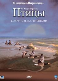 Птицы