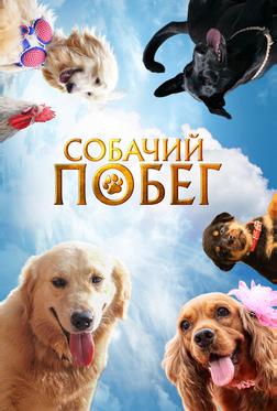 Собачий побег Собачий побег