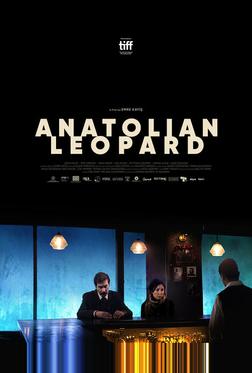 Анатолийский леопард Анатолийский леопард