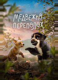 Медвежий переполох