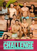 Реальный мир/Состязание «Дорожные правила» (1998)