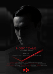 Новоселье
